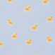 Papel de regalo Patitos Amarillos estucado azul