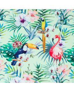 Papel de regalo tucan verde
