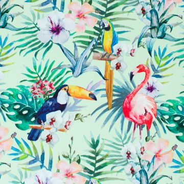 Papel de regalo tucan verde